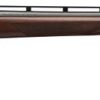 BT-99 with Adjustable Buttplate and Comb