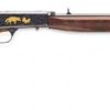 Semi-Auto 22, Grade VI Blued