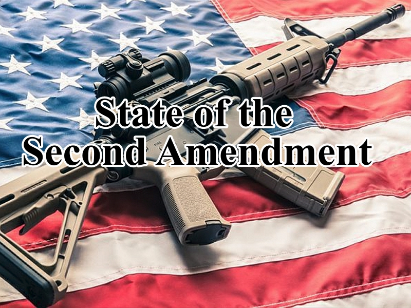 State of the Second Amendment